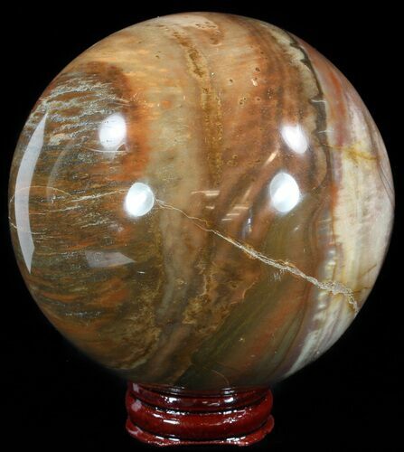 Colorful Petrified Wood Sphere #49775